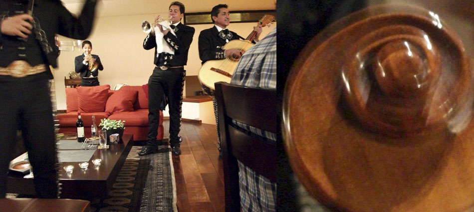 Violín